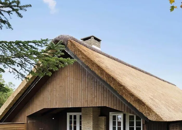 Tatil Evi 2504-romo-gl-skinnevej-12 *